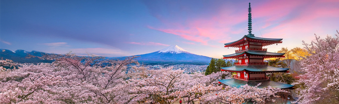 【2025 Japan Sakura Season】Tokyo, Osaka & Kyoto Expected to Bloom by Late March! Discover the Flowering Forecast for Various Locations!